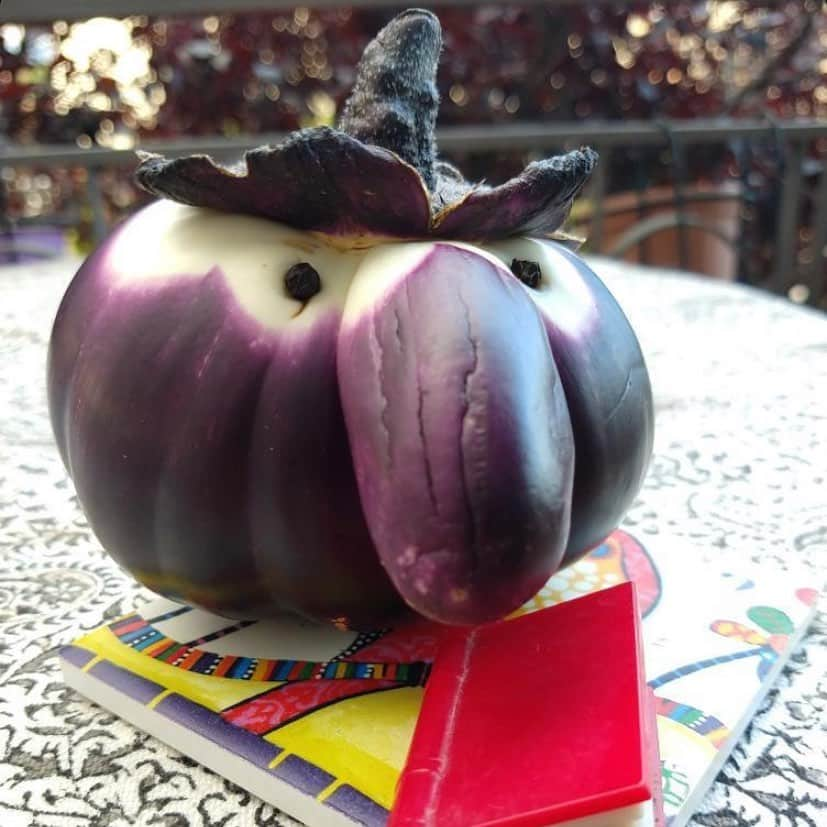 uglyfruitandvegさんのインスタグラム写真 - (uglyfruitandvegInstagram)「‪Eggplant is going to read a book this weekend! Pic by @e_create #ISeeFaces」7月19日 8時23分 - uglyfruitandveg