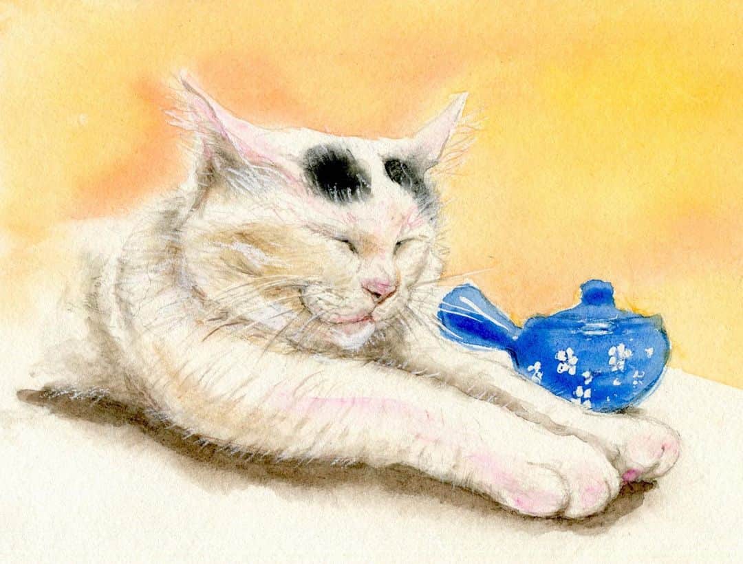 Kachimo Yoshimatsuさんのインスタグラム写真 - (Kachimo YoshimatsuInstagram)「前回、お風呂に入ってるイラストを描いてくださった @azumimorita さんが手伸ばしナナクロを描いてくれました。ありがとうございます。 #うちの猫ら #ナナクロの絵 #nanakuro #ナナクロ #猫 #ねこ #cat #ネコ #catstagram #ネコ部 http://kachimo.exblog.jp」7月19日 9時11分 - kachimo