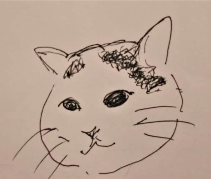 Kachimo Yoshimatsuさんのインスタグラム写真 - (Kachimo YoshimatsuInstagram)「福多さんが描いてくれたナナクロ。 #うちの猫ら #nanakuro #ナナクロの絵 #ナナクロ #猫 #ねこ #cat #ネコ #catstagram #ネコ部 http://kachimo.exblog.jp」7月19日 14時41分 - kachimo
