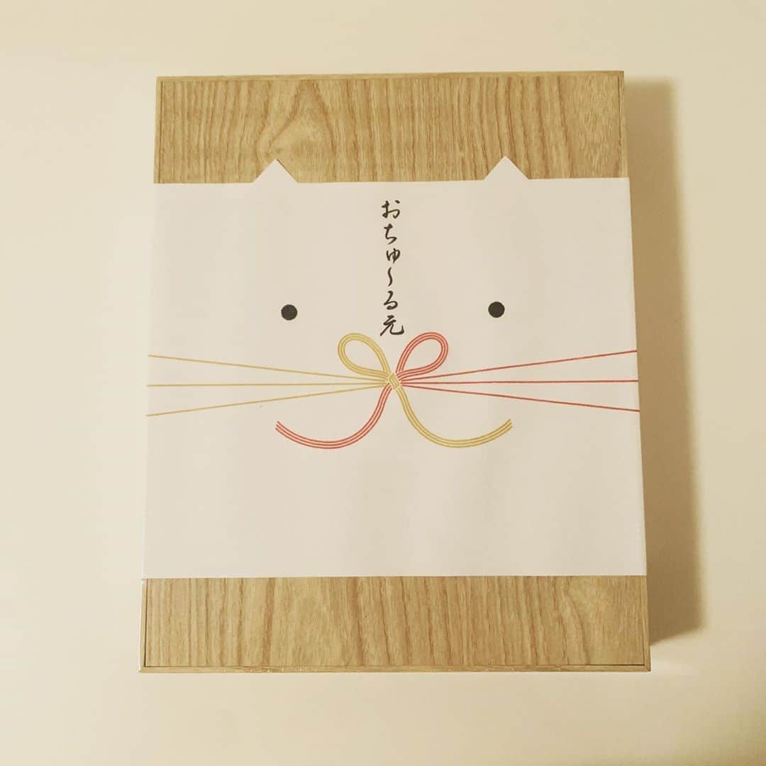 のインスタグラム：「おちゅ〜る元( #お中元 )もらっちゃった💝 ネーミングからノックアウトされた😻😻 中身はグルンテンフリーのちゅーるだった！！！！ ・ ・ #meow #instagramcats #catstagram #ilovemycat #cat #instacat #catsofinstagram #猫 #catlover #ねこ #にゃんすたぐらむ #ねこすたぐらむ #ネコ #猫のいる暮らし #にゃんこ #cats #猫好き #猫がいる生活 #猫との暮らし #猫大好き #ねこら部 #neko #猫多頭飼い #ニャンスタグラム #ilovecats #愛猫 #ちゅーる @ciao_campaign」