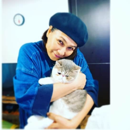 千吉良恵子さんのインスタグラム写真 - (千吉良恵子Instagram)「#こたつ　#エキゾチックショートヘア  @kotatsu1220  #7カ月　#男の子 #姪の猫 #千吉良美樹 @chigim  #たまらない可愛さ 😍💕 #MOREでこたつ連載してますよ #ふわふわ#もこもこ　#もふもふ #柔らかい#なすがまま」7月19日 10時37分 - chigirakeiko