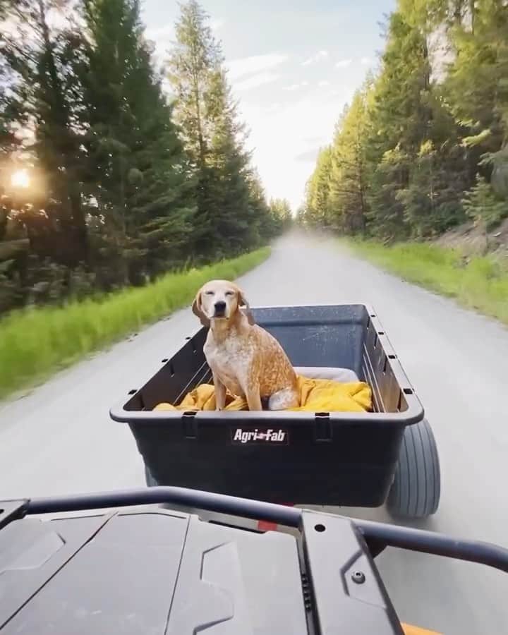 マディのインスタグラム：「Doing Montana stuffs ✨」