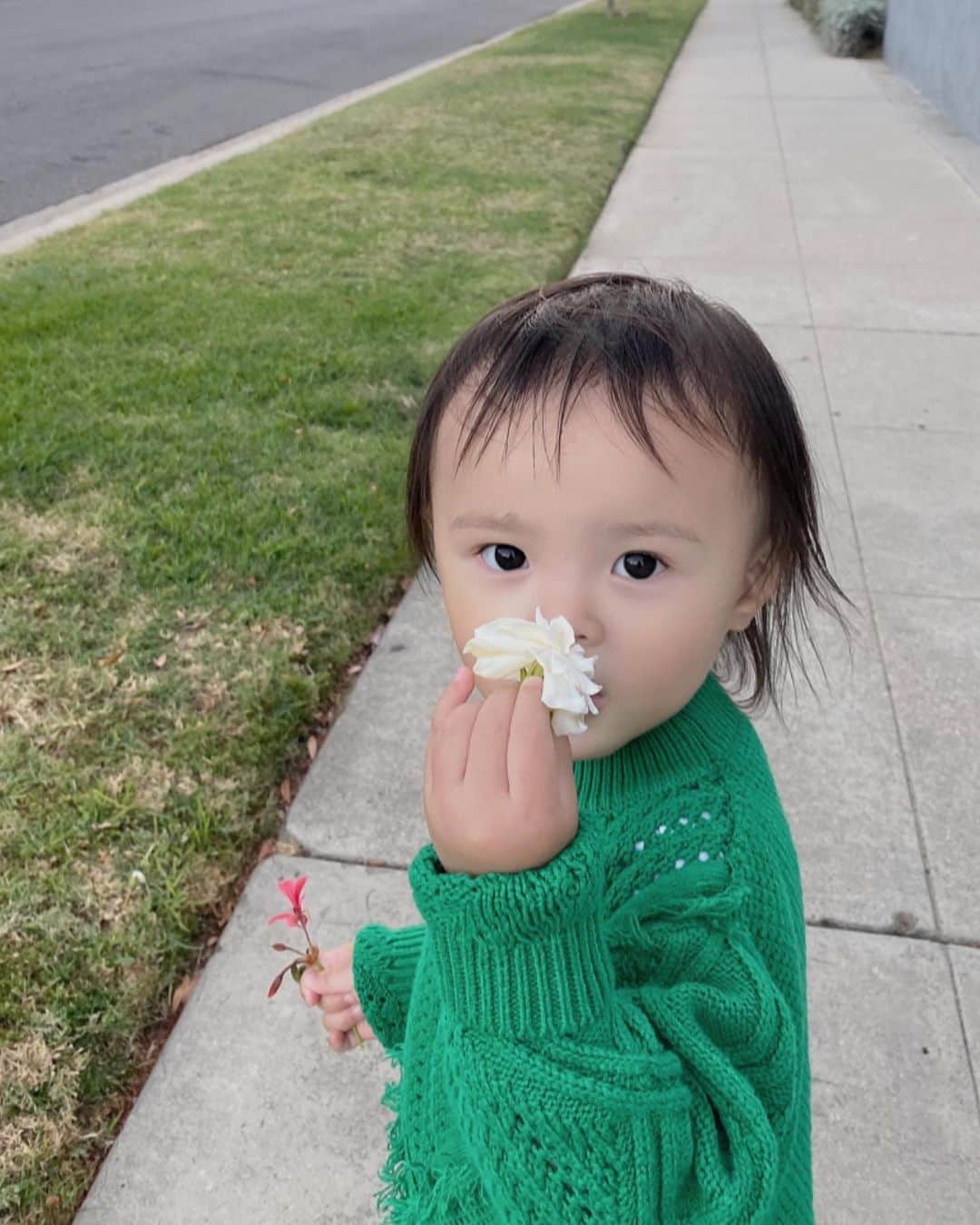 ルピン・ワンのインスタグラム：「Evening walk 🌱🌿🍃」