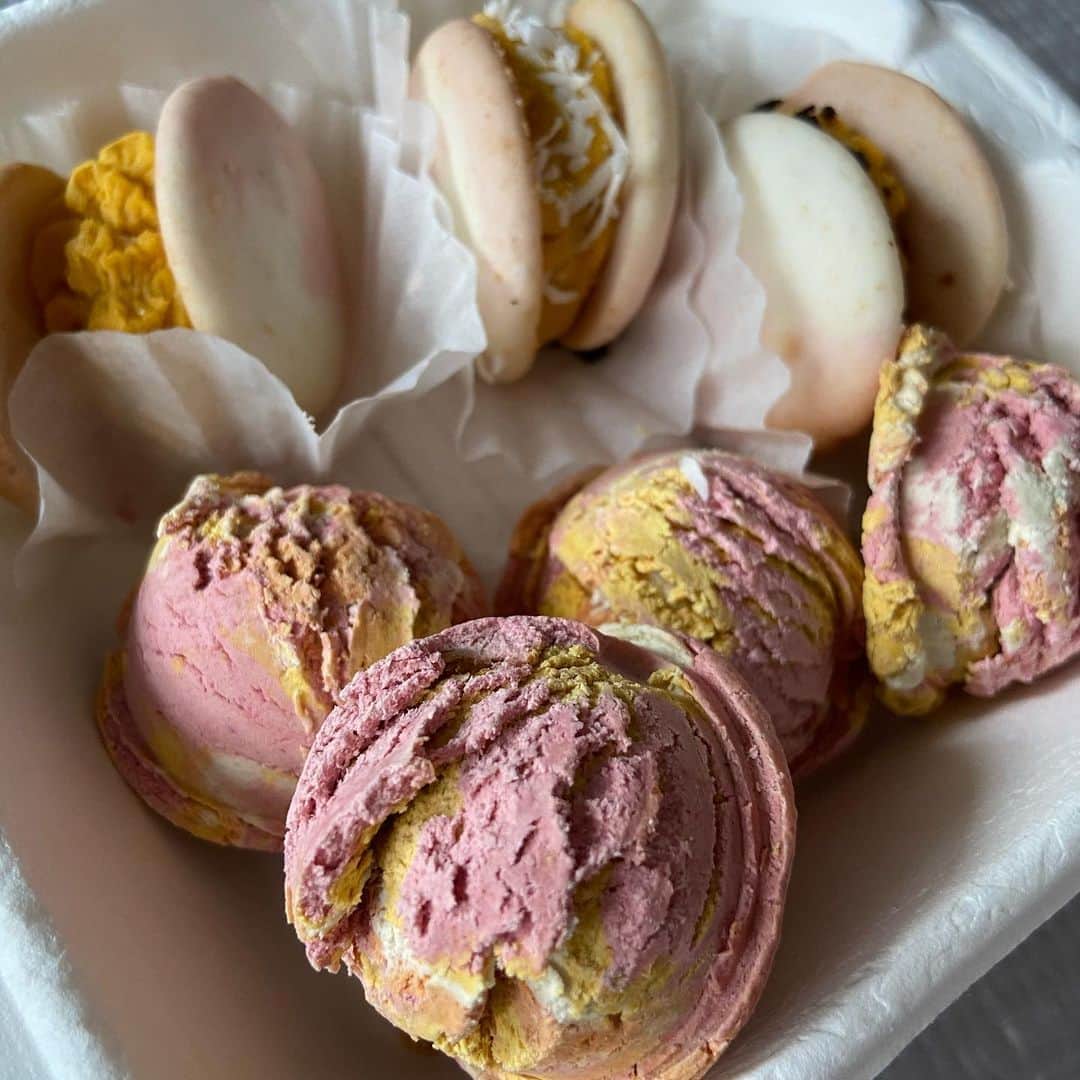 奥菜恵のインスタグラム：「개카롱 먹고 신난 리를 멍멍쓰들 🐶🍪Happy Sunday with dog macarons #dogstagram」