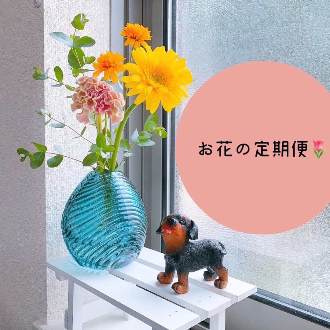 のインスタグラム：「🌷お花のある暮らし🌷 . @bloomeelife さんのサポーター活動💕 これ、毎週500円から自宅に 可愛いお花が届けられるサービスなんだけど 1回目素敵すぎたから2回目がもう待ち遠しくて…w . . 今回届いたお花は黄色の夏らしいカラー🧡🌼💕 . お花の種類は毎回変わるんだけど 前回届いたお花がまだまだ元気だったから 今回のと一緒にしてみた❤（3枚目参照 . ポストに届くから受け取り不要で楽だし ワンコインで家が明るくなる！ しかもさ、前テレビで言ってたけど 風水的にも生花を家に置くのっていいんだよね💐 お花があるだけで気持ちも心も癒されるって本当すごい . やっぱりお花のある生活って 癒されるし和むなぁ🤤💕 . . これを見ているフォロワーさん限定で 初回が無料になるクーポンコードを 発行していただいているので ぜひ！使ってみてくださいね🌷 無料でお花が届く🤤💐（無料大好き← . ▼▼クーポンコード▼▼ . ■クーポンコード：miyan ■有効期限：2020年7月31日 . あ、あと 2020/7/31(金)までのキャンペーンで Bloomee LIFEで販売している花瓶ラインナップに "2種類の花瓶が新登場"したことを記念して 花瓶プレゼントキャンペーンが実施されています💐 . ■クーポンコード：miyan ↑このコードを使って登録された方の中から抽選で 4名様に【新登場した花瓶】をプレゼント❤❤ . 初回無料やのに花瓶も無料でもらえたら 最高に運がいいよね😍❤笑 . #bloomeelife #Flower #無料クーポン #無料 #インテリア #花 #花瓶 #francfranc #francfrancのある生活 #フランフラン #可愛い #花のある暮らし #お花のある暮らし #二人暮らし #インテリア雑貨 #雑貨 #初回無料 #おうち時間 #同棲生活 #写真映え #写真好きな人と繋がりたい #写真 #写真撮ってる人と繋がりたい#プレゼント企画#プレゼント#キャンペーン#キャンペーン中」