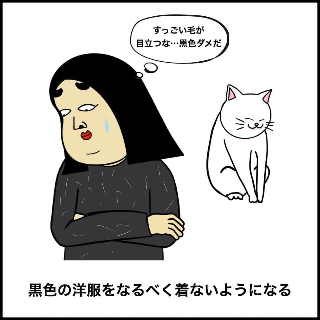 BUSONさんのインスタグラム写真 - (BUSONInstagram)「猫好きあるある  #ポジティブしきぶちゃん #猫好き」8月17日 17時35分 - buson2025