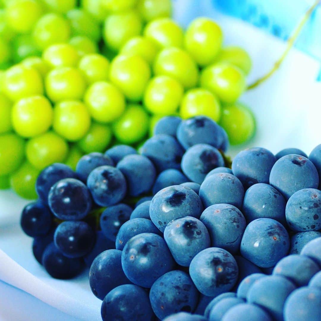 甲州 ほうとう 完熟屋 本店のグルメインスタ