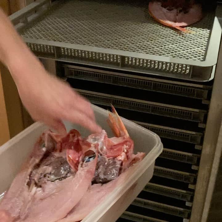 のインスタグラム：「スグレモノ！  神田魚金には大きな機材 干物マシーンがあります 天気次第では半日以上かかる干しの工程があっと言う間に出来るのです！ 干しすぎて硬くなる事も無くふっくらした干物が出来るので神田魚金をご利用の際は干物を是非召し上がってみて下さい 仕入れの時にも干物に向いてそうな魚が有れば買ってみます  仕入部　片之坂 #錦町#新橋#玉子#居酒屋#銀座#京橋#さんま#海鮮丼#刺身#吉祥寺#オイスター#池袋#干物#ぶり#刺身盛り合わせ#パエリア#渋谷#魚好きと繋がりたい #レモンサワー#始めました#神楽坂#横浜グルメ#飲酒タグラム#野菜たっぷり#日本酒好きな人と繋がりたい #鯛#マダコ#ステーキ#鳥 #yummy」