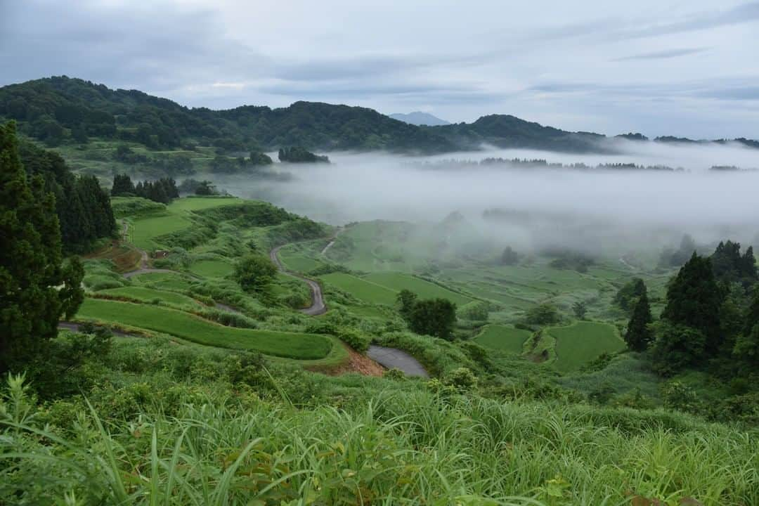 Satoyama推進コンソーシアムのインスタグラム：「撮影地: #北海道 #層雲峡 #銀河の滝付近 （Satoyamaフォトコンテスト2020代理投稿作品）  ★Satoyama & Satoumi Photo Contest 2020 https://satoyama-satoumi.net/contest/photo2020/（日本語） https://satoyama-satoumi.net/global/contest/photo2020/（English） ⠀ ⠀⁠⠀ #jtsatoyama2020 #satoyama #photocontest #photo⠀⁠⠀ #satoumi #japan #landscape #japan_visit #Lovers_Nippon #daily_photo_jpn #naturephotography #フォトコンテスト #フォトコン⠀⁠⠀ #写真⠀⁠⠀ #カメラ⠀⁠⠀ #里山⠀⁠⠀ #里海⠀⁠⠀ #風景⠀⁠⠀ #風景写真⠀⁠⠀ #日本の絶景⠀⁠⠀ #日本の美しい風景⠀⁠⠀ #田舎⠀⁠⠀ #田舎暮らし」