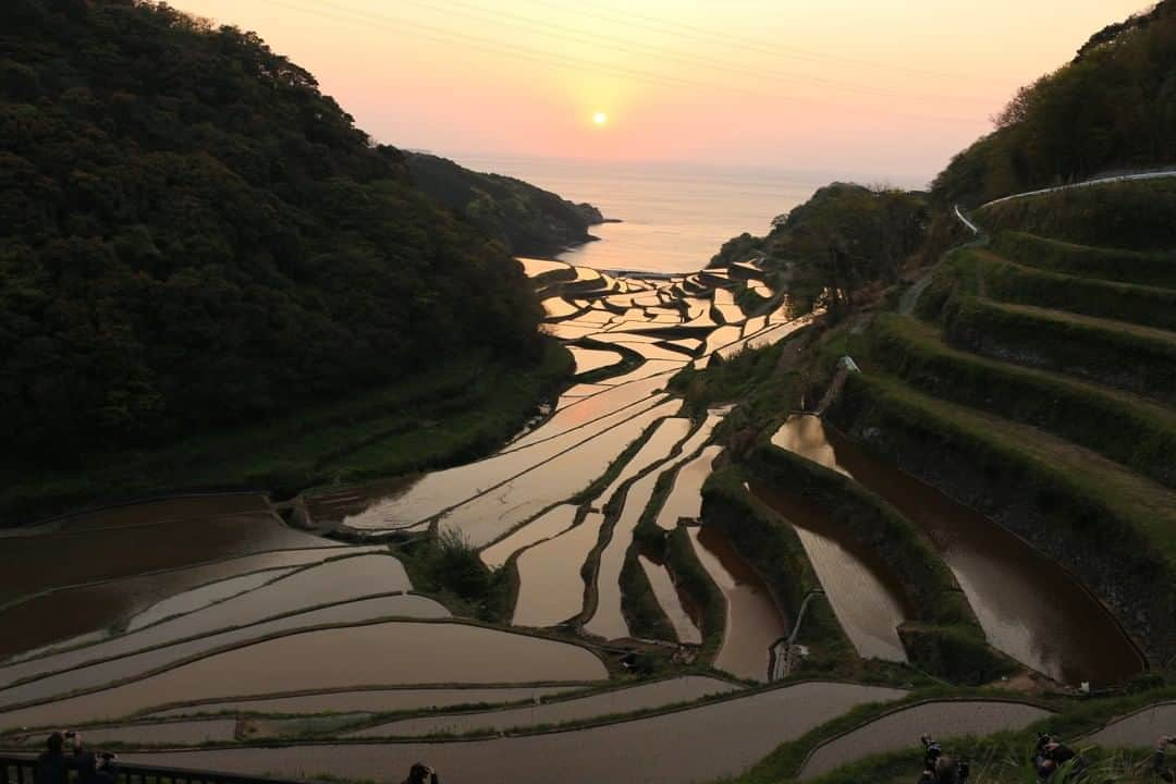 Satoyama推進コンソーシアムのインスタグラム：「棚田の夕陽　　#佐賀県 #東松浦郡 #玄海町 #浜野浦 （Satoyamaフォトコンテスト2020代理投稿作品）  ★Satoyama & Satoumi Photo Contest 2020 https://satoyama-satoumi.net/contest/photo2020/（日本語） https://satoyama-satoumi.net/global/contest/photo2020/（English） ⠀ ⠀⁠⠀ #jtsatoyama2020 #satoyama #photocontest #photo⠀⁠⠀ #satoumi #japan #landscape #japan_visit #Lovers_Nippon #daily_photo_jpn #naturephotography #フォトコンテスト #フォトコン⠀⁠⠀ #写真⠀⁠⠀ #カメラ⠀⁠⠀ #里山⠀⁠⠀ #里海⠀⁠⠀ #風景⠀⁠⠀ #風景写真⠀⁠⠀ #日本の絶景⠀⁠⠀ #日本の美しい風景⠀⁠⠀ #田舎⠀⁠⠀ #田舎暮らし」