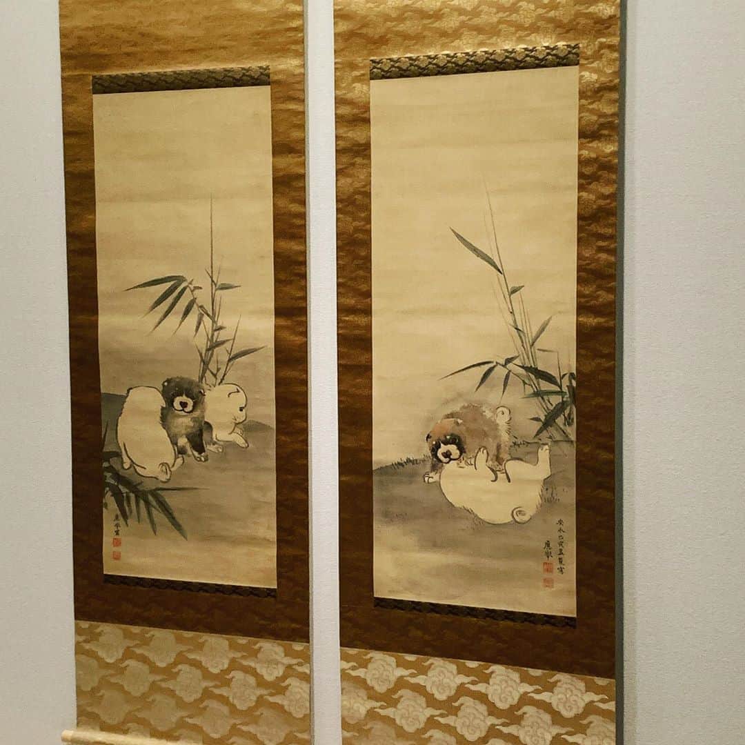 DJ AIKO 62さんのインスタグラム写真 - (DJ AIKO 62Instagram)「嵯峨嵐山文華館では8月1日から「いきものがたり　十二支になったいきものと、なれなかった猫たち。」展が開催中です。  動物を描いた日本画は大変人気がありますよね。私もとても好きです。その中でも私たちの生活にも馴染み深い、十二支に選ばれたいきものを描いた作品が1階ギャラリーに。「子、丑、寅、卯…」と心の中で呟きながら、順を追って楽しめます。  2階ギャラリーは靴を脱いで。（サンダルや素足で靴の人は靴下持参をおすすめ。） 広々とした畳の部屋を囲むように展示ケースが配置され、座ったり、少しリラックスした目線で絵を楽しめます。  今展2階ギャラリーでは猫の絵も多く展示されています。諸説ありますが、猫が十二支に入らなかったのはネズミに嘘をつかれたから。意地悪をしたネズミを後に追っかけるようになった…というのも面白い逸話です。身近ないきものとして描かれることも多かった猫ですが、絵の中でも気ままな振る舞いを感じさせる姿はとっても愛らしいです。  さらに嵐山にゆかりのあるいきものたちの絵も。  写真撮影も一部を除いてOKなので、自由研究のトピックスとしても面白いかなと思いました。  ここはかつて時雨殿として百人一首に特化した展示をする場所でしたが2度の休館を経て2018年11月に現在の嵯峨嵐山文華館としてリニューアルオープンしました。ゆっくりゆったりと日本画を楽しめる場所としては是非福田美術館とのはしごをしたいなと思った場所でした。  #いきものがたり #嵐山 #京都嵐山 #嵯峨嵐山文華館 #おすすめ美術展  #京都散歩 #京都観光 #美術館巡り #美術館 #学芸員djのdjaiko62  #DJAIKO62 #アート散歩 #アートライター #福田美術館とのセット券がお得  #福田美術館通り #京都 #干支 #猫」8月17日 17時02分 - djaiko62