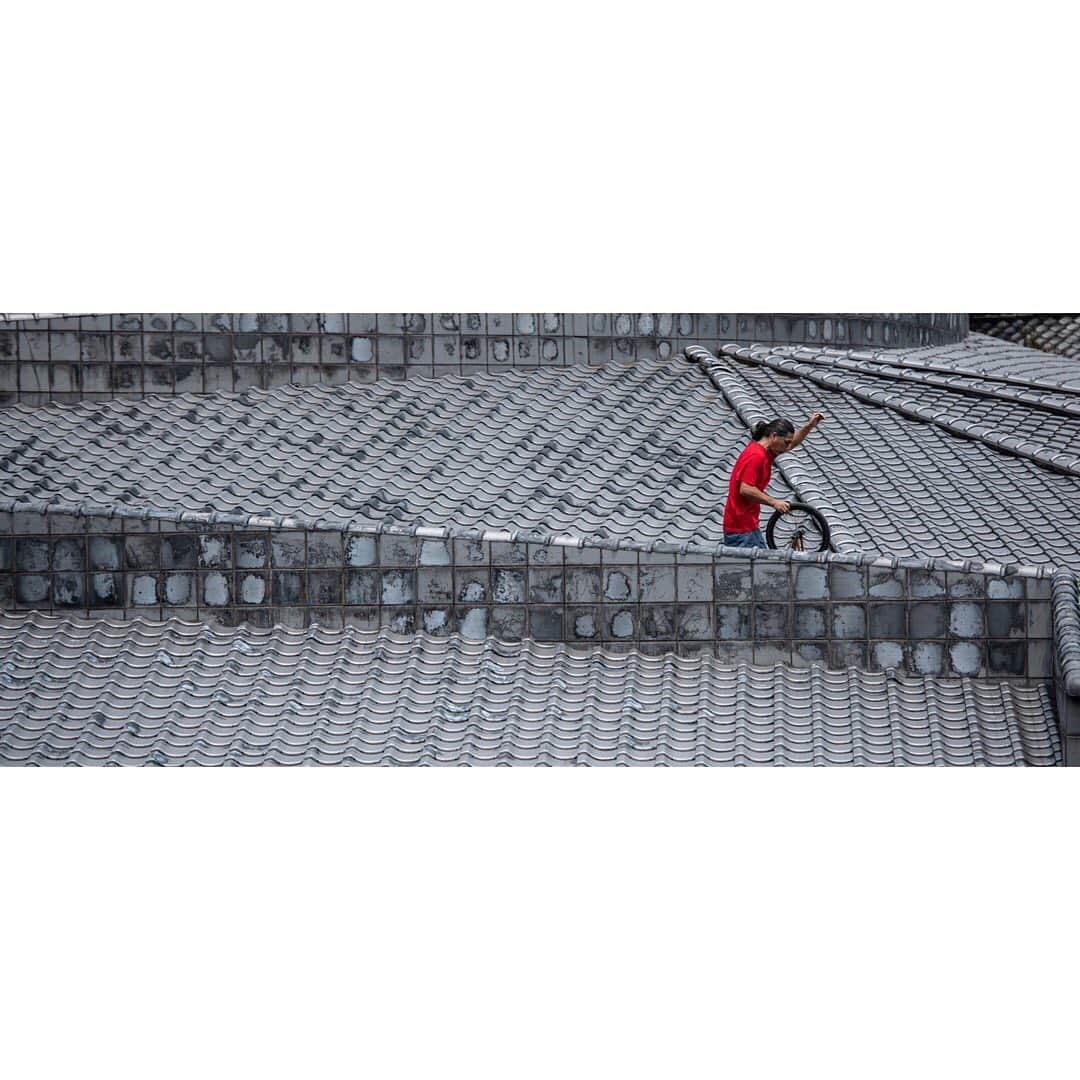 のインスタグラム：「JPN NINJA STYLE. photography @satoshi.saijo  #aresbikes #bmx #flatland #freestyle #freestylebmx #photography #nikon #kawara #red #ug #madbunny #dvsshoes #fusionink #aresandco」