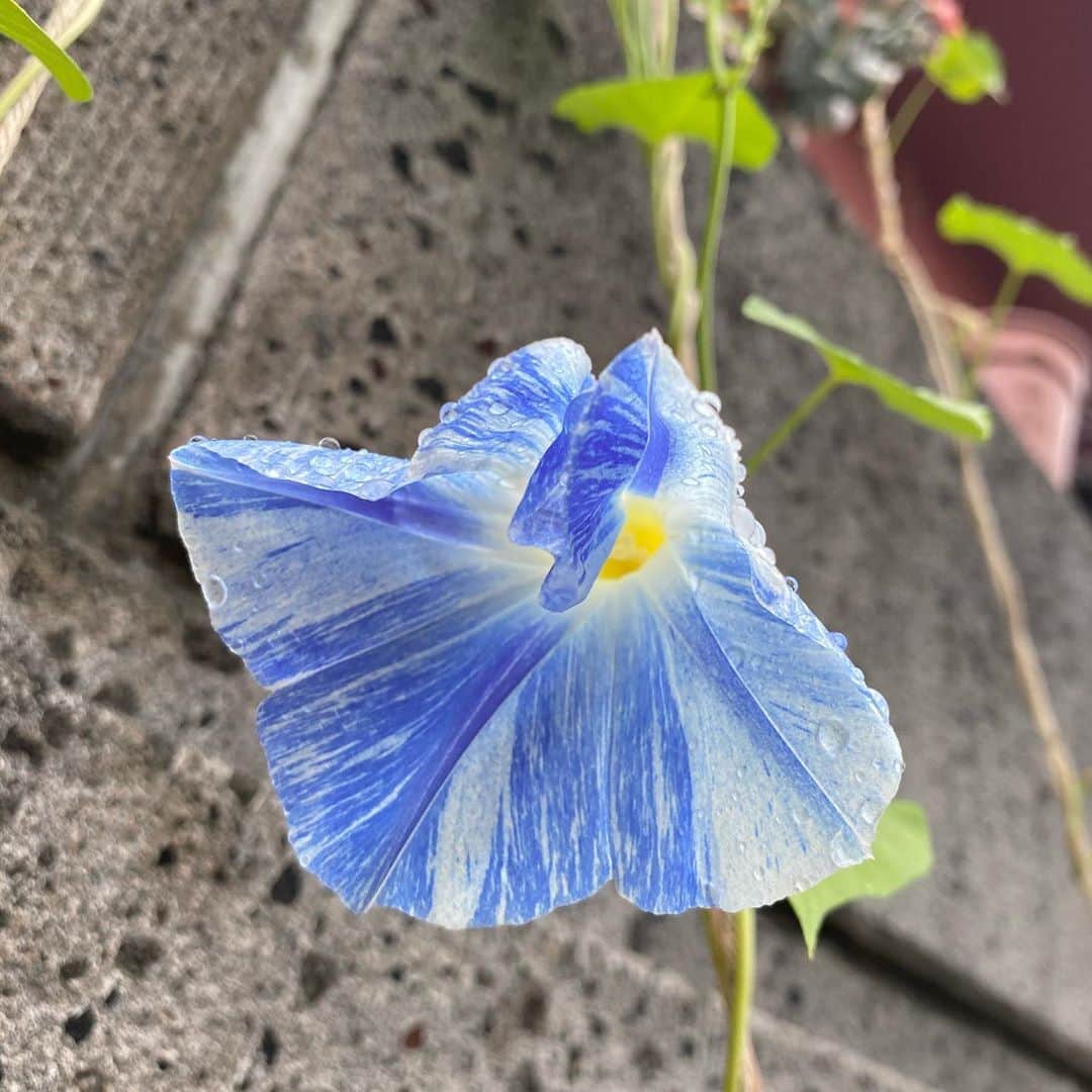 魔女菅原のグルメインスタ