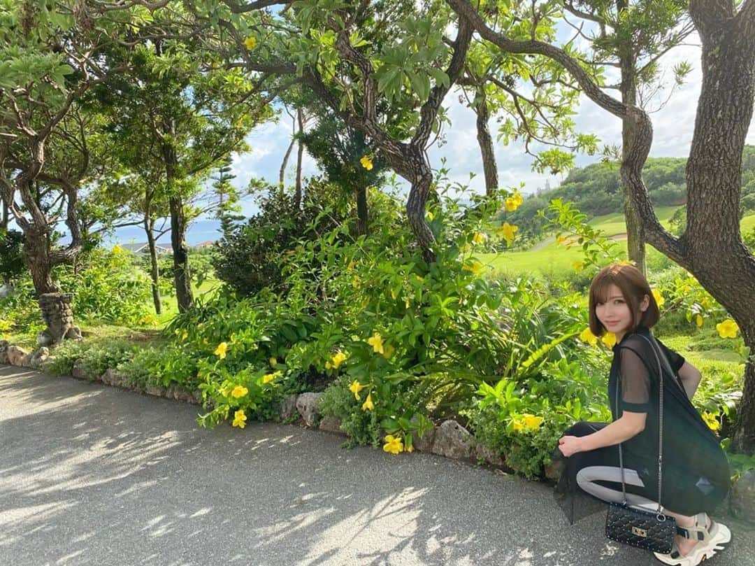 のインスタグラム：「かわいい🌼💛 ・ #ノーマルカメラ #宮古島旅行 #宮古島 #沖縄 #沖縄旅行 #宮古島ロス #沖縄ロス #シギラベイサイドスイートアラマンダ #シギラリゾート」