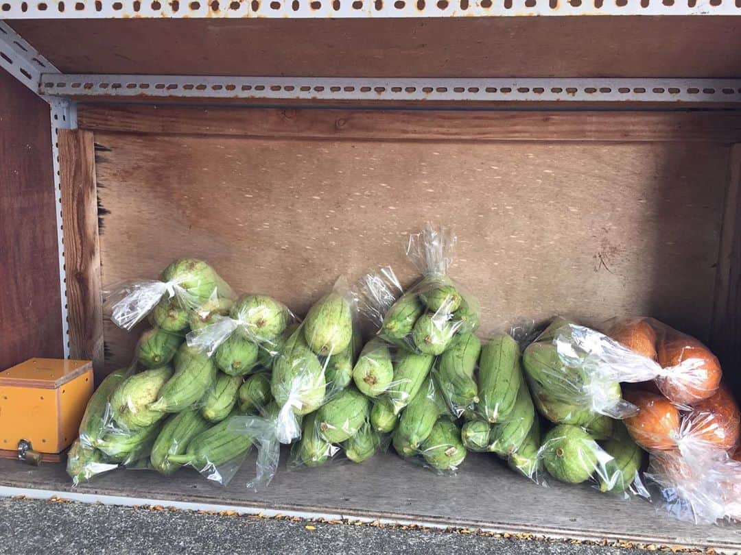 上原彩子のインスタグラム：「朝練、帰りに無人販売が4ヶ所あります。﻿ 今日はオクラとモーイとかぼちゃ🎃を買いましたー﻿ ﻿ 新鮮で美味しく安い野菜を購入できる無人販売は有り難いです😊﻿ ﻿ みなさんも良い1日を〜👍  #沖縄 #無人販売 #野菜 #新鮮 #安い  #朝練 #購入 #美味しい #ありがとう #良い一日を」
