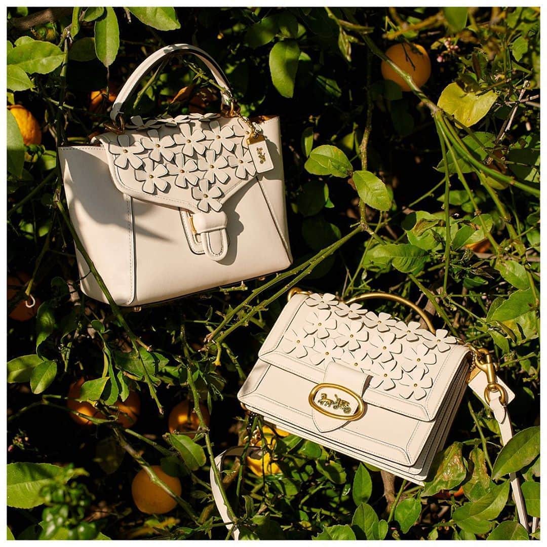 のインスタグラム：「Fresh flowers (always a nice finishing touch). #CoachNY」