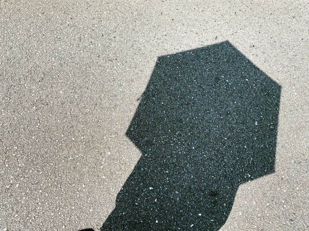 倉田雅世さんのインスタグラム写真 - (倉田雅世Instagram)「朝はまだ少し涼しくて、ひとけのないところでマスクを外したら、夏の匂いがしたよ。 もうこの時間はかなり暑いけど💦」8月17日 11時20分 - kuralamune