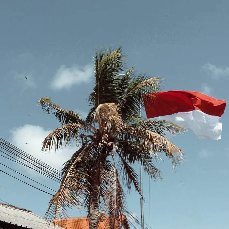 のインスタグラム：「Always keep the spirit of patriotism, glowing within you❤️  Happy Independence day Indonesia🇮🇩 #toirowagashi」