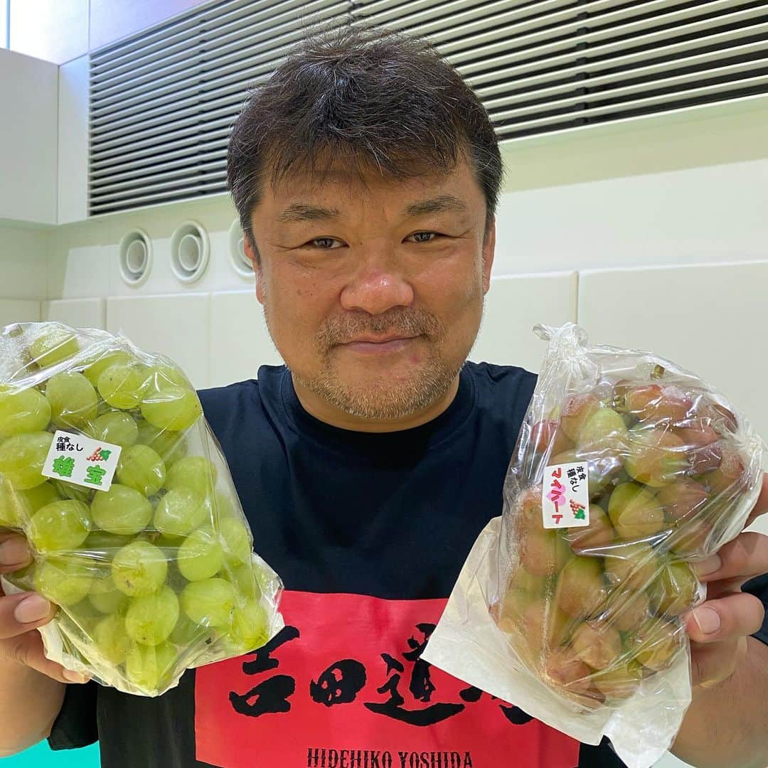 吉田秀彦のインスタグラム：「愛知県大府市広報大使の吉田です。 大府の名産「ぶどう」！ コロナで大変な世の中ですが今年も大府のぶどうは美味しく立派に育ちました！ 今が旬の大府のぶどうを皆さんも是非ご賞味ください！  #大府市 #ぶどう」