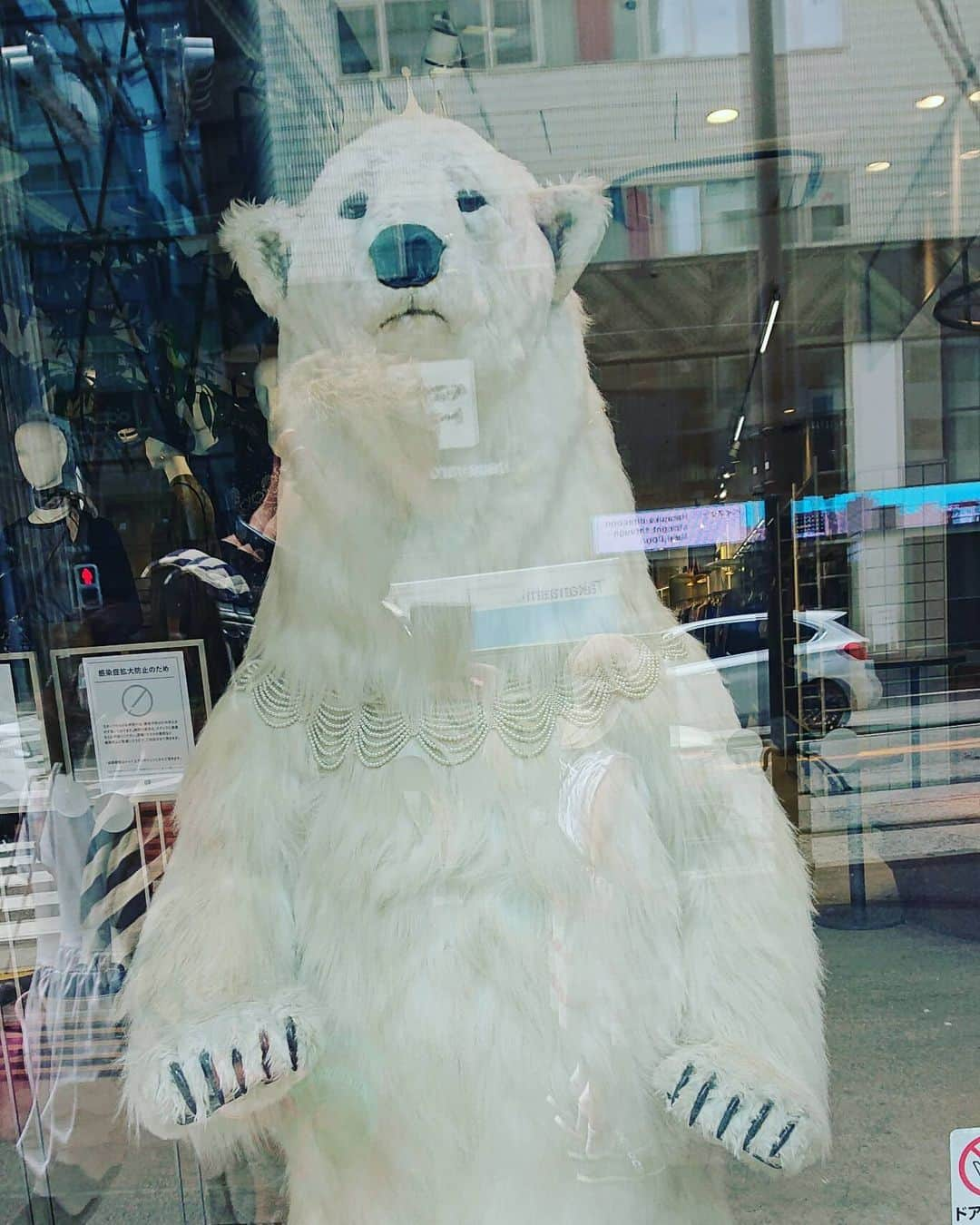 河上隆一さんのインスタグラム写真 - (河上隆一Instagram)「北極クマさん！ 涼しそ！そちらに連れてって！  今日も酷暑ですが皆さん無理せず！ 熱中症対策にはクーラーのみですので休み休みやりましょう。  #activitalネックファン   購入させて頂きましたがこれがダイレクトに首にそよ風が♪ これは手放せない！  @activital.official  より購入できるのかな？調べてみてね！  しっかり水分と休養取りましょう🎵  #河上隆一 #bjw #Activital #ネックファン  #ネックファン便利すぎる」8月17日 13時09分 - kawakami_ryuichi