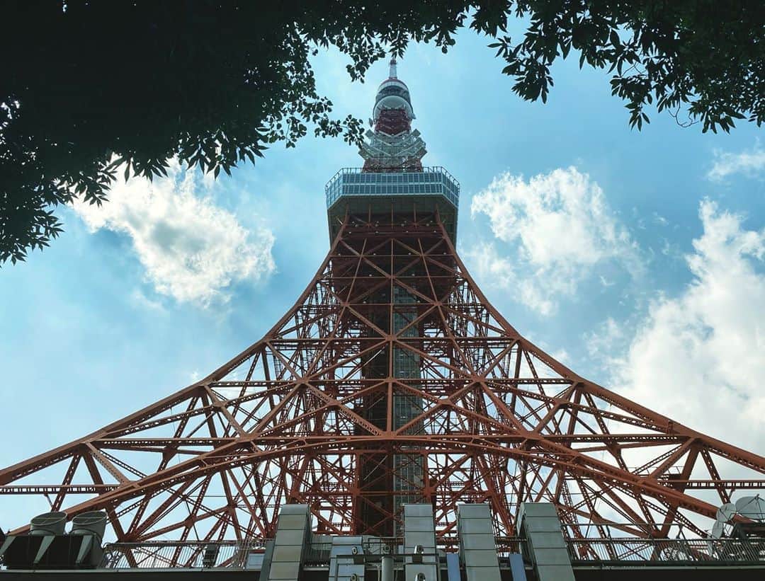 のインスタグラム：「定期投稿東京タワー  暑い💦」