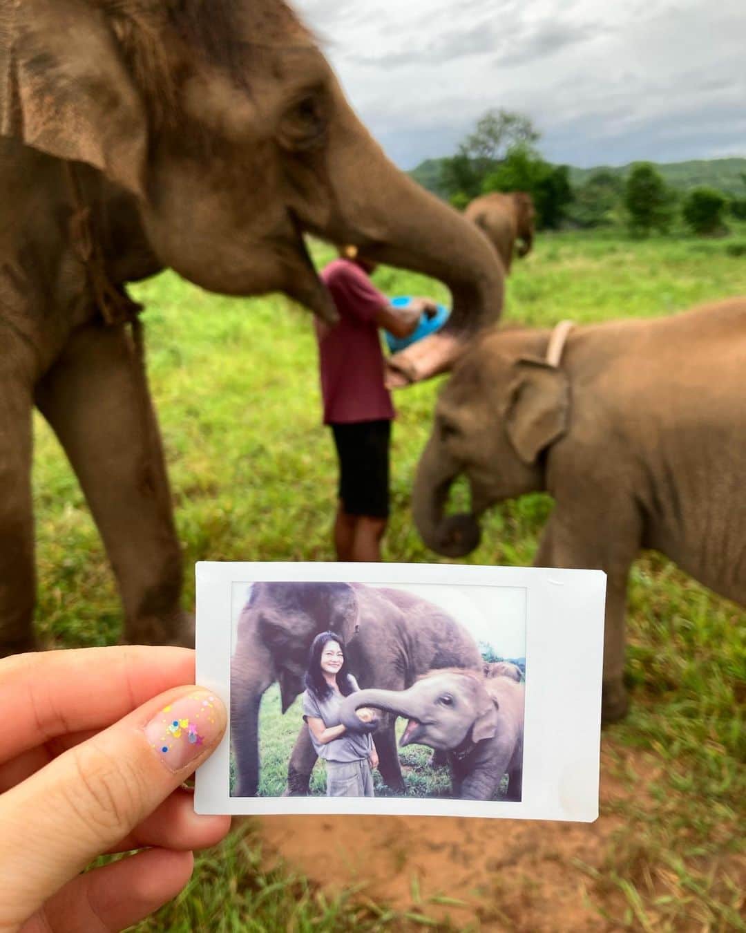 National Geographic Creativeさんのインスタグラム写真 - (National Geographic CreativeInstagram)「Photo by @amandamustard  One of the instant snapshots I took for the mahouts (elephant caretakers) and elephant home owner, something I try to do regularly to thank those that allow me into their lives with my camera. Follow me here and on my personal account as I explore the ways that Thailand’s captive elephants are being impacted by the global pandemic.  #thailand #asianelephant #animalwelfare #natgeointhefield」8月17日 14時40分 - natgeointhefield