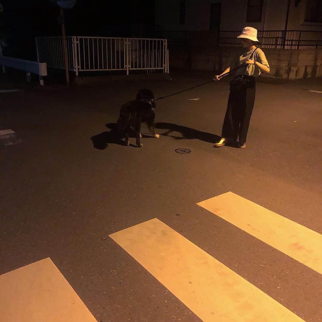 鹿沼亜美さんのインスタグラム写真 - (鹿沼亜美Instagram)「どっちが散歩されてるのか分からない時間でした🐶、全然動いてくれないから困った〜ぁ、、  #夜の散歩 #犬の散歩」8月13日 20時24分 - ami_1212one