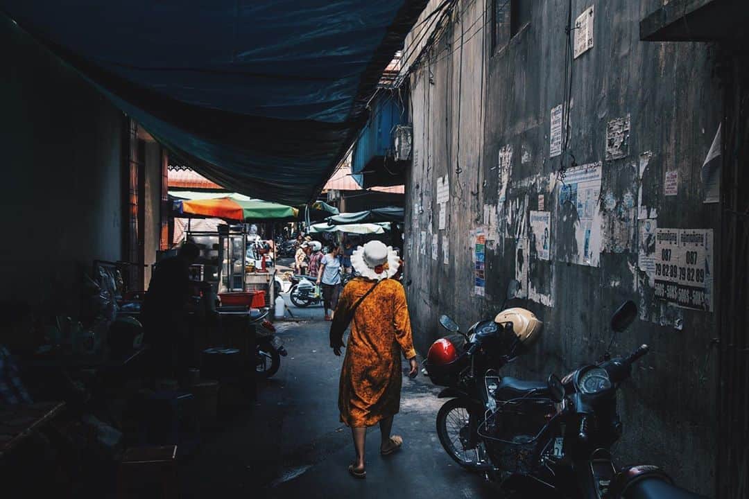 のインスタグラム：「Sunflower in a dark alley」