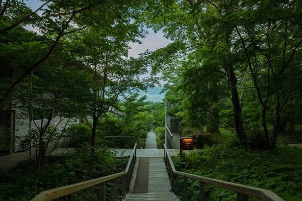 川上俊のインスタグラム：「[new project] hakone retreat (箱根リトリート） @hakone.retreat  ー branding & design by @shunkawakami & artless Inc.  (creative & art direction, naming, logo & visual identity, graphic design, signage design) - 国有林の中にあるリトリート。これからの森と現代の融合と共生。そんなコンセプトのブランドデザインです。 #artlessinc #shunkawakami  Photography by @yuukwkm」