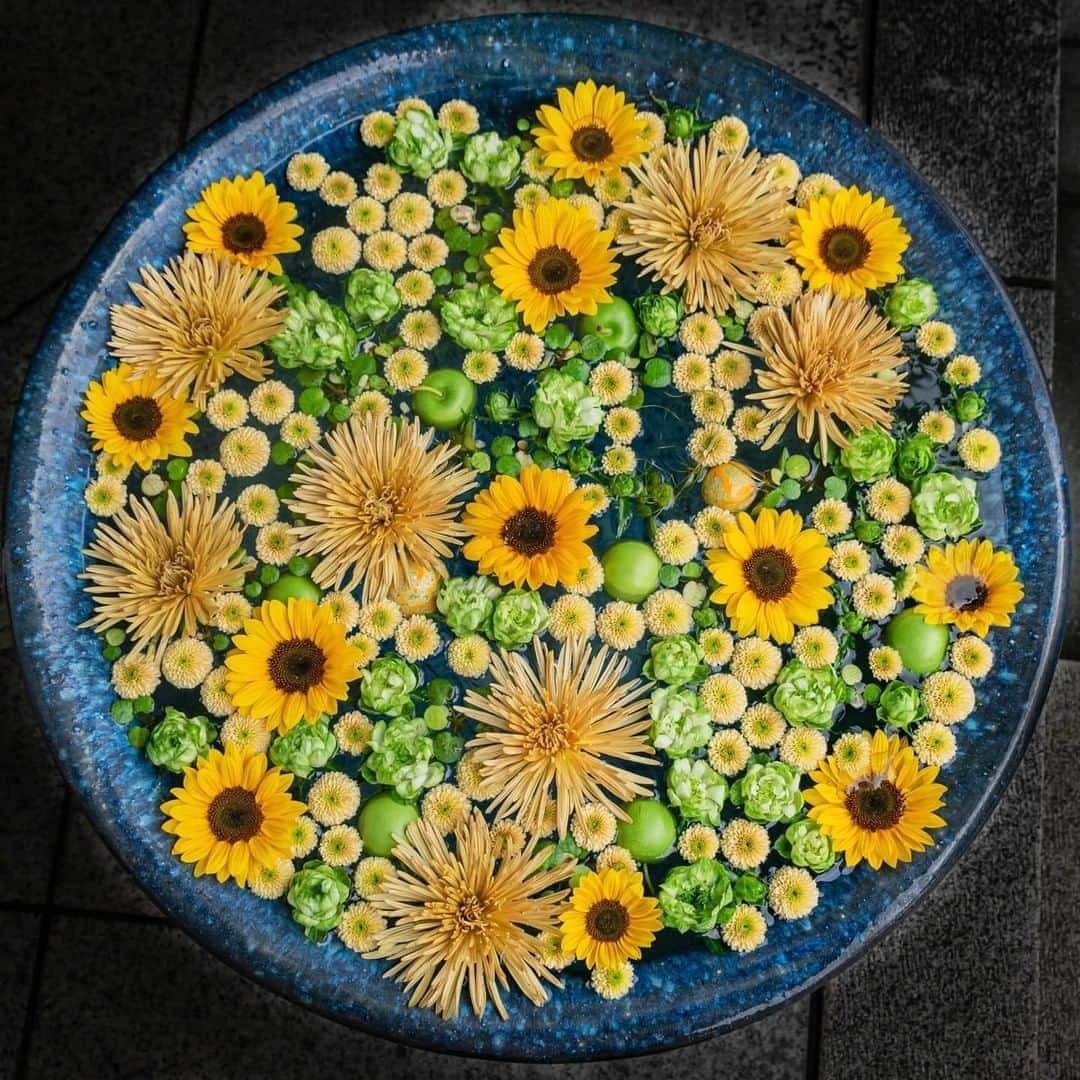 花の写真館のインスタグラム：「Photo by @tsumizo.⠀ https://instagram.com/tsumizo/⠀ .⠀ Original Post[投稿いただいたURL]⠀ https://www.instagram.com/p/CDFYgUTlnah/⠀ .⠀ 本アカウントは、 #私の花の写真 をつけてInstagramに投稿された皆さまの花の写真や、「花の写真館」Facebookページで投稿された花の写真を紹介します。⠀ 「花の写真館」Facebookページは、「 @floral.photograph 」のプロフィールにあるURLからご覧ください。⠀ .⠀ ※各自、政府、自治体など公的機関の指示に従った行動をお願いします。⠀⠀ 東京カメラ部および分室では、写真を「見る楽しみ」を提供することを通して、微力ながら皆様にわずかな時間でも癒しをお届けしたいと思っております。⠀ ※本アカウントは東京カメラ部がFacebook、Instagramのサービスを利用して運営しているもので、Facebook社・Instagramとは一切関係ありません。⠀ .⠀ #花の写真館 #floralphotograph #floralphoto #flower #flowers⠀ Follow: @floral.photograph」
