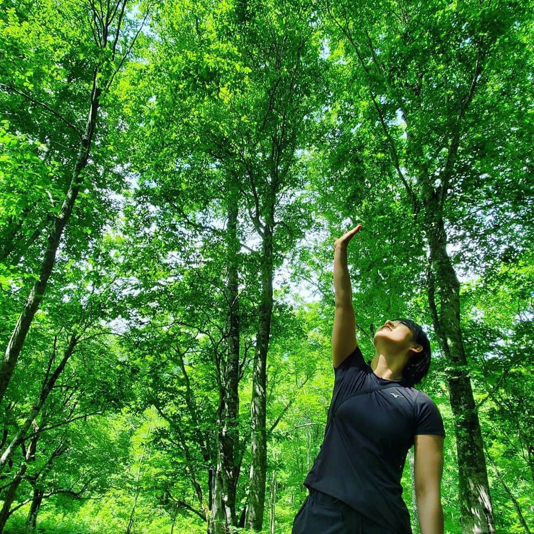 清水希容さんのインスタグラム写真 - (清水希容Instagram)「緑が綺麗な時期になりました🌱  一気に夏になった感じで、とても暑いです☀️💦 皆さんも、熱中症には充分に気を付けましょう！  #夏#緑#太陽#自然#パワー#エネルギー #熱中症#気を付けよう」8月13日 19時40分 - kiyou_1