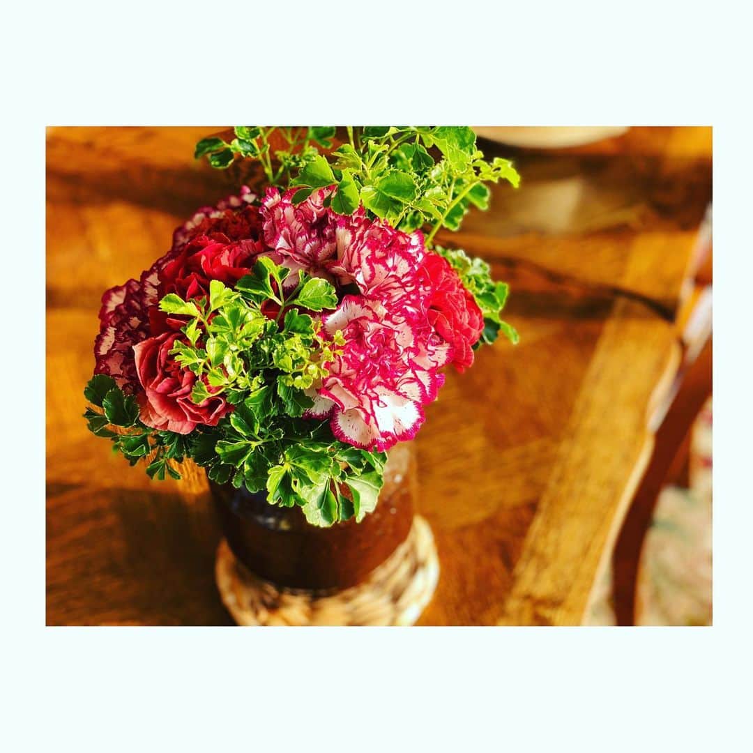 上山竜治さんのインスタグラム写真 - (上山竜治Instagram)「可愛いカーネーション買っちゃった。#近所の花屋　#カーネーション　#花屋のおじさんいつもありがとう。」8月13日 19時52分 - kamiyama_ryuji_0910