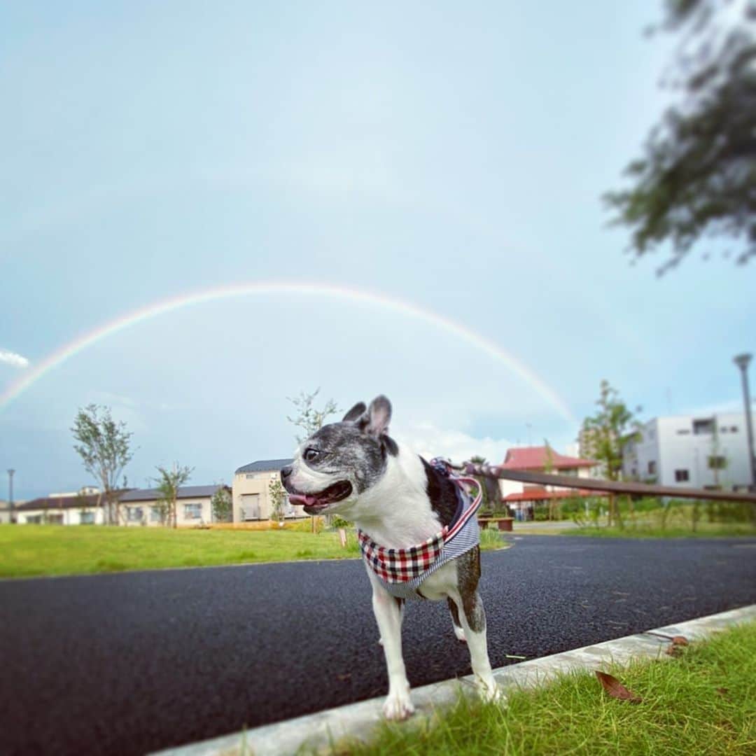 dorlisのインスタグラム：「🌈🌈」