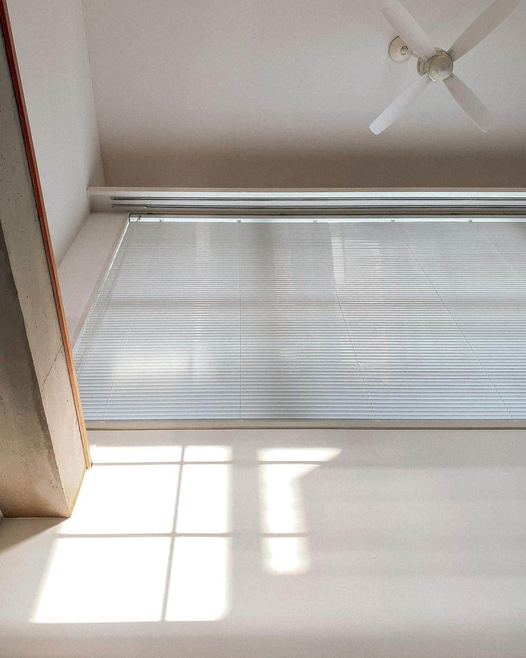 Manamiのインスタグラム：「my new place❁ 天井が高くて光がいっぱい入るお気に入りの事務所🌞 そろそろ落ち着いてきたから おっきいGreenが欲しいなぁ🌿🌿🌿 何がいいかなぁ🌿🌿🌿」