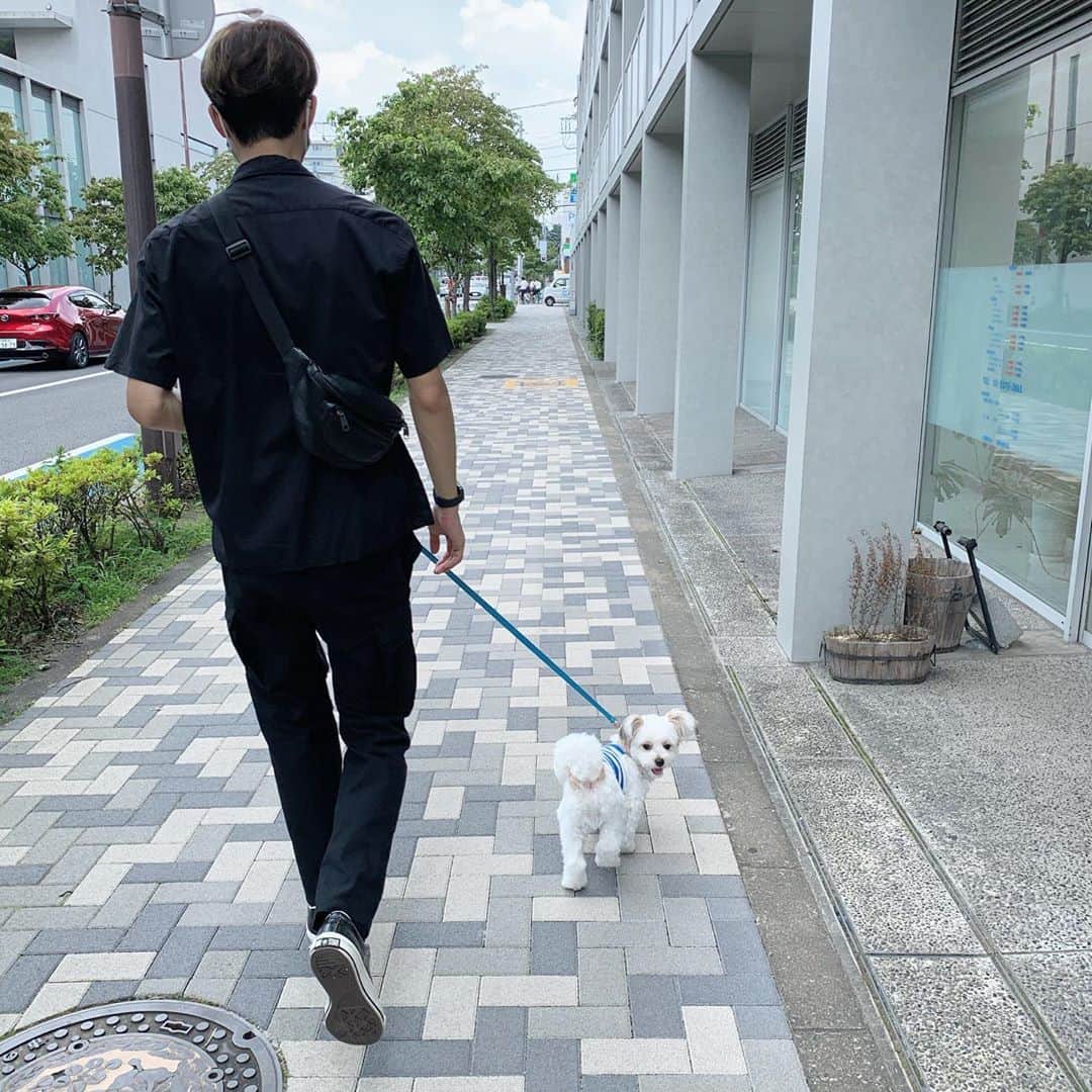 Shinjyu Lou Reid/リード真珠のインスタグラム：「Trying to find things that makes me happy and positive 🤏☺️💕 Family day is one of those things 🐶」