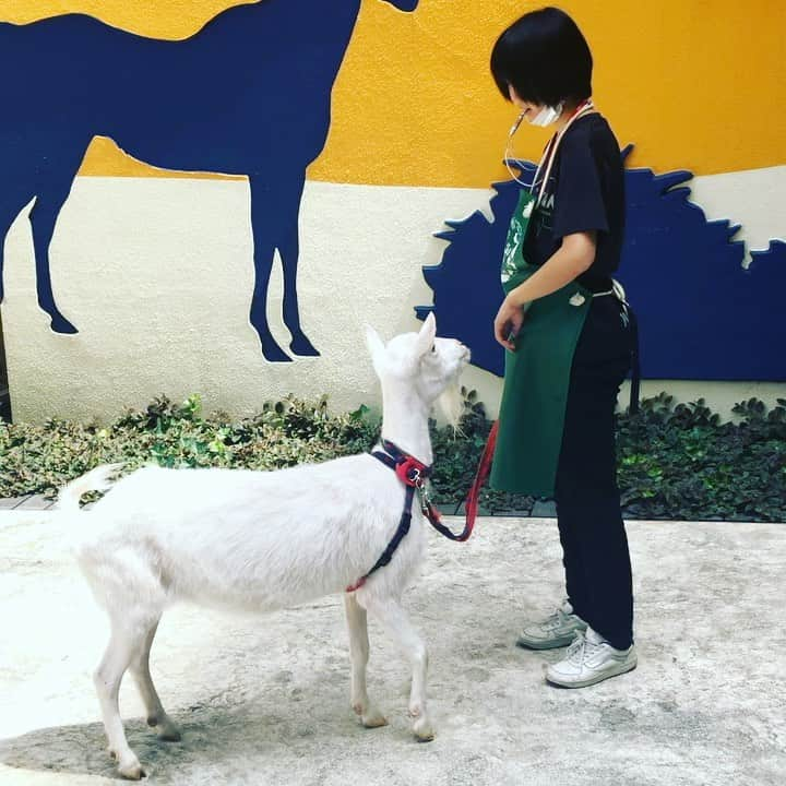 【公式】福岡ECO動物海洋専門学校のインスタグラム