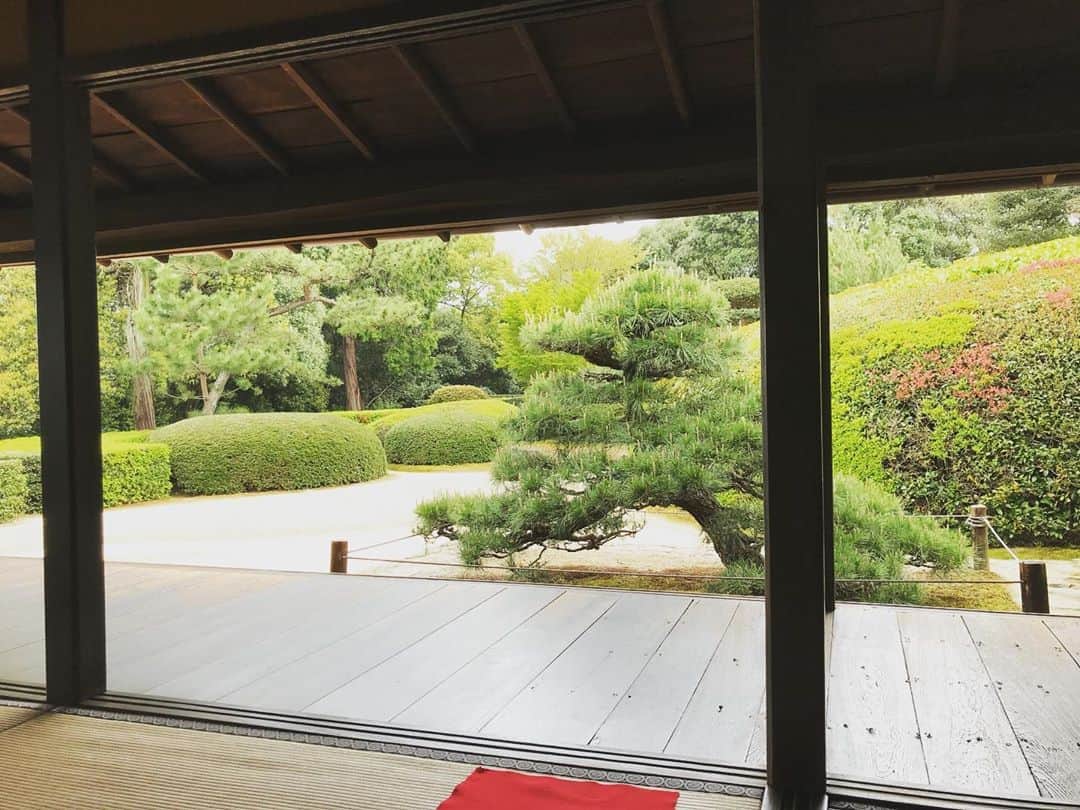 丹羽真由実のグルメインスタ