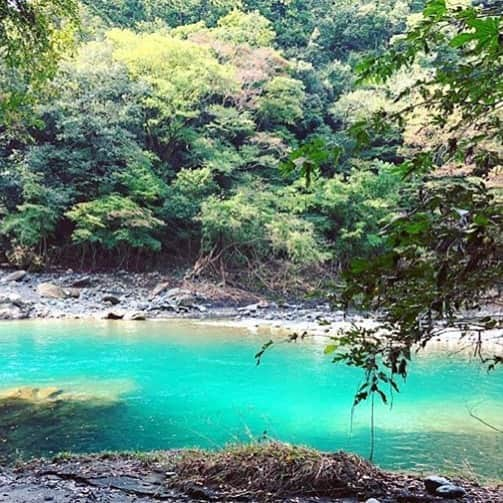 井出レイコさんのインスタグラム写真 - (井出レイコInstagram)「・ エメラルドグリーン🏝⛱ こんな綺麗な川があるなんて✨ 一瞬　涼みによりました❄️🌿🌿 毎日毎日暑い日が続いてますね。 ふぅー🌬今日も暑い🥵🔥🔥🔥💦 ・ #おばあちゃん #新盆　#初盆　#お盆　👵🏻💐 ・」8月13日 11時58分 - ide_reiko_