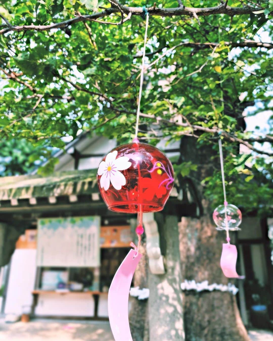 菜々香のインスタグラム：「夏。 お参りした神社にて。  #日本の夏 #風鈴 #癒しのメロディー」