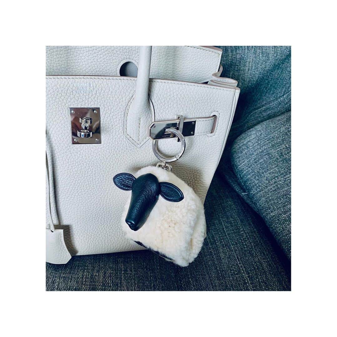 のインスタグラム：「🐑 新入り♡ #loewe」