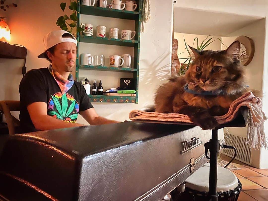 ジェイソン・ムラーズのインスタグラム：「Mews」