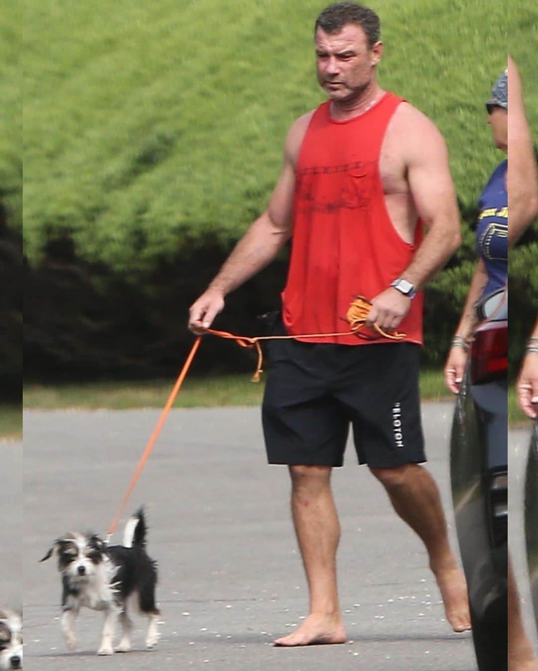 Just Jaredさんのインスタグラム写真 - (Just JaredInstagram)「@lievschreiber shows off his muscles while arriving at the beach with his new dog Scout! #LievSchreiber Photos: Backgrid」8月13日 13時41分 - justjared