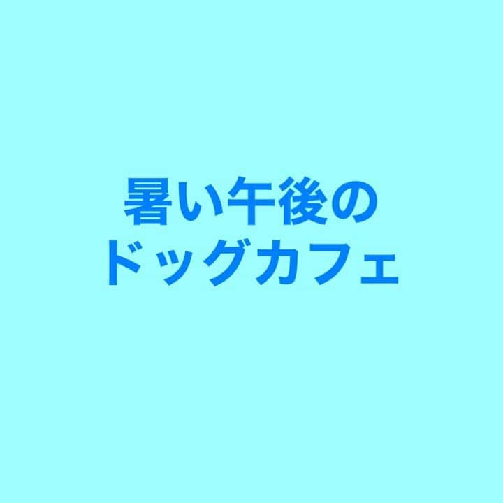 富士川碧砂のインスタグラム