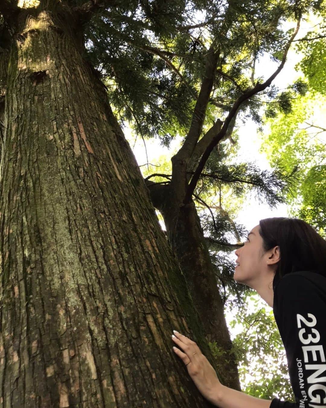 のインスタグラム：「ウォーキング1時間からのエネルギーチャージ☀️それにしても暑い〜〜〜🥵💦 皆さま熱中症にはお気をつけ下さい！！ ・ ・ #休日は自然を求めがち  #エネルギーチャージ完了」