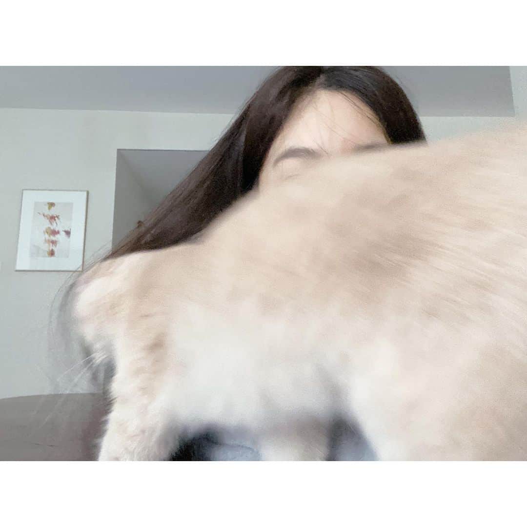 チョン・リョウォンさんのインスタグラム写真 - (チョン・リョウォンInstagram)「. 응  셀카 못찍어. 안돼. 나만봐. . no, can’t take selfie today.」8月13日 14時23分 - yoanaloves