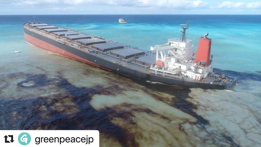 井上奈保さんのインスタグラム写真 - (井上奈保Instagram)「先月、26日に起こったこの事故を(日本のことなのに)恥ずかしながら私は今日知りました。  インド洋のモーリシャス島沖で日本の貨物船が座礁して大量の油が流れ出た事故で、連日現地の専門家さんやボランティアの方々が重油を回収してくださっています。  環境緊急事態を宣言していて、自然が元のように回復するには数十年かかる可能性があるそうです。。  残念ながら日本のメディアではあまり取り上げられていません。なぜでしょうか、こんなに重大なこと！  1000トン以上の重油が流出した周辺には、珊瑚礁が広がり、水鳥をはじめ貴重な生物が生息しているのです。  又、汚染の危機によって、モーリシャスの経済、食糧、人々の健康に悲惨な結果をもたらす恐れが。  ・・・心が痛いです。  現実を多くの方が知ることで、何かが変わり、そして支援や想いが届きますように。。  #Repost @greenpeacejp  とても心が痛い光景です。美しいモーリシャスの海に、石油が漂っています。  インド洋の島国モーリシャス沖で座礁した日本の貨物船から1,000トン以上の重油が流出している事故で、新たな写真と映像が届きました。  モーリシャスは、環境緊急事態を宣言しています。 座礁したポワントデスニー（Pointe d'Esny）は、ラムサール条約で保全地域に指定されていて、ブルーベイ国立公園も近くに位置しています。住民の食料供給や、健康への被害も懸念されます。  現地では、海岸のコミュニティによる懸命な重油回収作業が続いています。モーリシャスに必要な支援が行き届くよう、ぜひこの投稿をシェアしてください。  今必要なのは、総力をあげた一刻も早い重油回収です。 そして、採掘・輸送・貯蔵のどの段階でも環境破壊のリスクを伴う化石燃料に依存した経済をやめ、自然エネルギー100％に移行することが、こうした悲劇を繰り返さないためにより一層、求められます。  #モーリシャス　#海　#守りたい海  #サンゴ #サンゴ礁　#リゾート　#青 #ブルー」8月13日 15時34分 - inouenaho1207