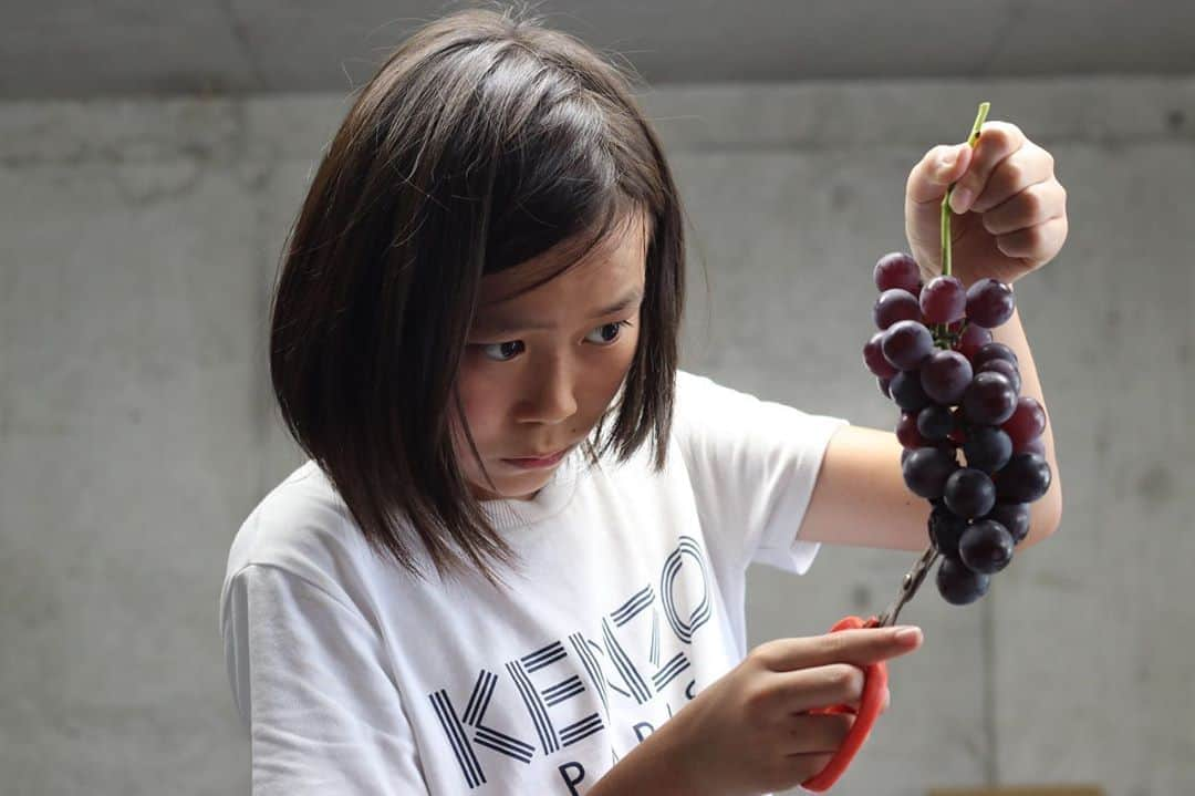 高井直子のインスタグラム