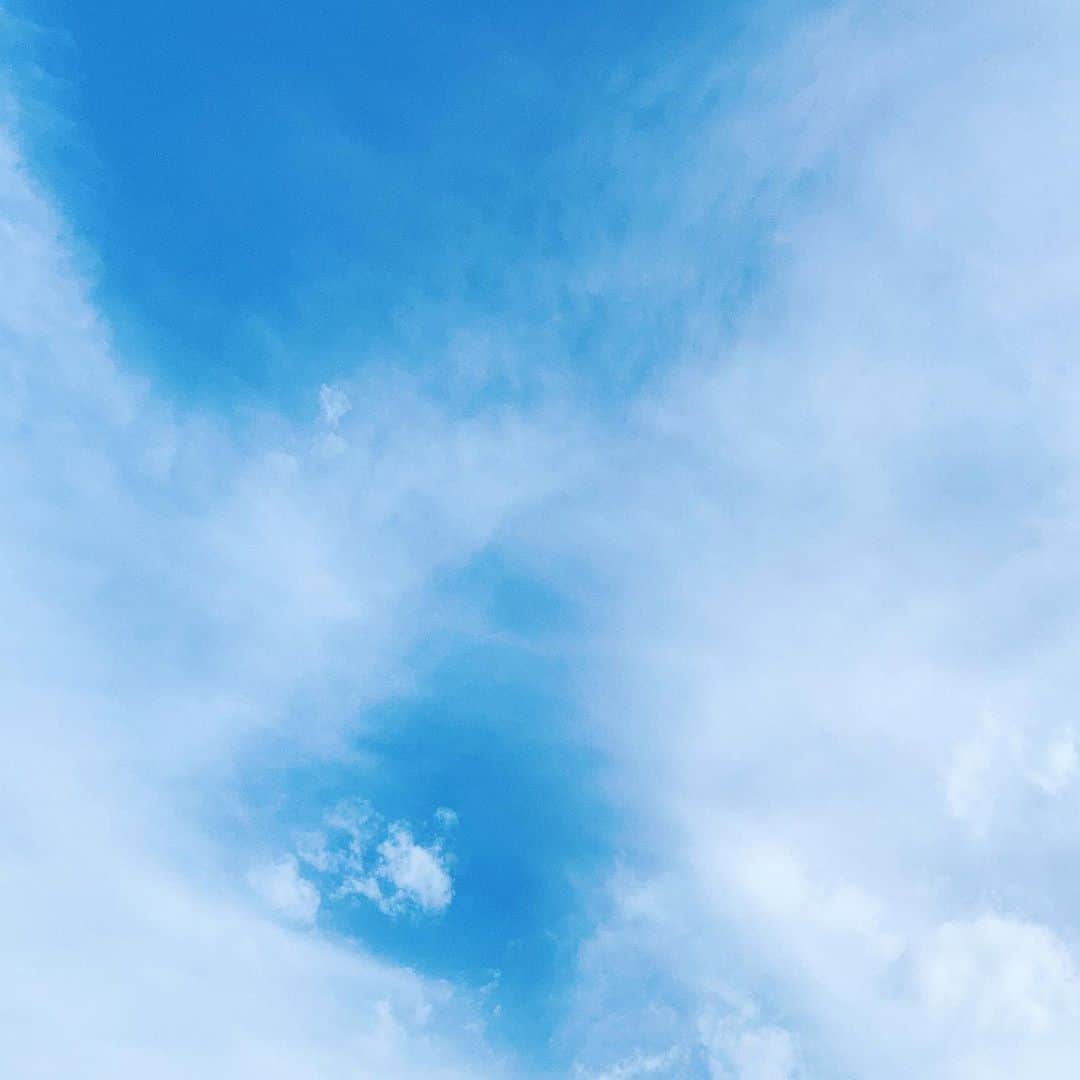 vo_coのインスタグラム：「2020.08.13 『お盆のこと』 * 保育園で 「〇〇くん家はお盆休みはどうされますか？」 と聞かれた はて…？  毎年『お盆休み』がどんなもので、いつからいつの期間を指すものなのか全くわからない… うちの父は盆休み関係ない仕事だったし、自分も似たような仕事してるから当然これまでに『お盆休み』を取ったことがない 結婚して義実家で迎え盆の火を焚いたり茄子とか胡瓜を牛とか馬に見立てる行事を目の当たりにして、漫画や小説に出てくる地方の伝統を大事にする地域でだけやってるものと思ってだことに愕然とした もしかしてうちの方が特殊なのか…と思い調べてみて納得 たまたま父方も母方も仏事は浄土真宗で宗派も同じ 別にどちらも信心深くしてる家でもなんでもないけど、浄土真宗はお盆にお供えや送り火等の事一切やらないんですね 知らんかった！ 道理でお盆に縁がなかった訳だ…  位牌が無かったり卒塔婆か無かったり、他では当たり前とされてるものが当たり前じゃないんですねー こんな事、結婚しなかったら一生知らないままだったんだろな… ちなみにもうこちらに移してしまったけど金沢にあったうちの代々の墓、調べたら曹洞宗のお寺だった… お墓は曹洞宗で仏壇は浄土真宗？？ よくわからない…親が元気なうちに聞いておかないと一生わからないままになりそうだな… * #お盆ぽい独り言 #浄土真宗 #浄土真宗大谷派  #浄土真宗東本願寺派  なのにお墓は #大乗寺 だったし」