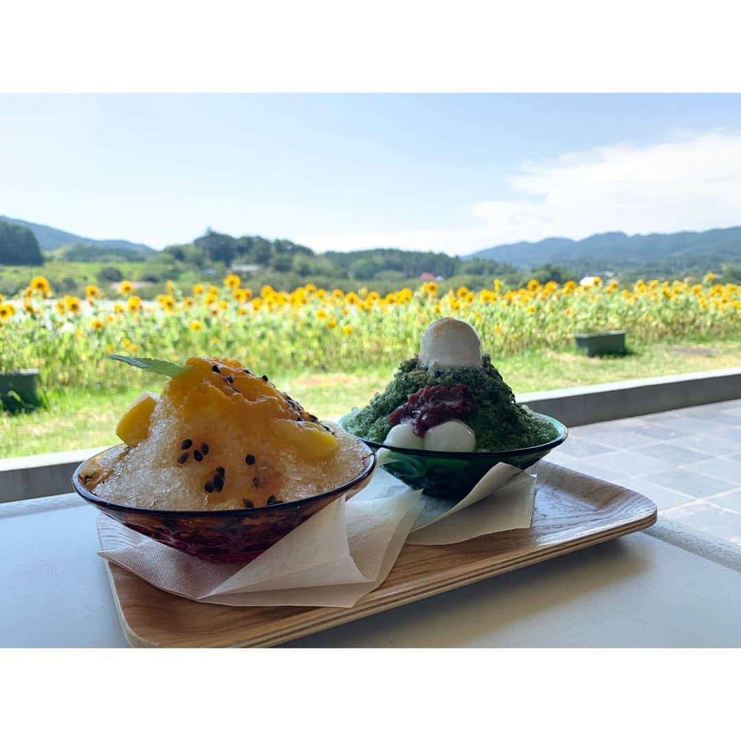 潮田あかりさんのインスタグラム写真 - (潮田あかりInstagram)「夏〜〜🍧暑すぎて昨日のかき氷見返してる🤤🍧 #あかぴの夏休み #みんなみの里 #かき氷」8月13日 15時56分 - ushi_ppp