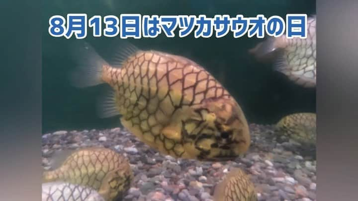 小野瀬雅生のインスタグラム